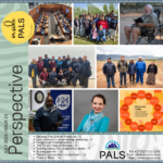 Perspective inside PALS: July 2026 | Issue 23