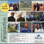 Perspective inside PALS: October 2026 | Issue 24
